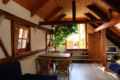 Bio-Ferienwohnung Ellensohn