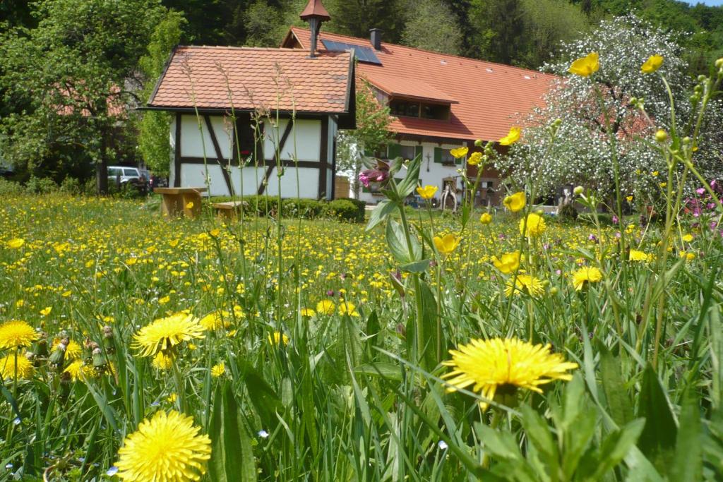 Biohof Schad Krummen 1, 88316 Eisenbach