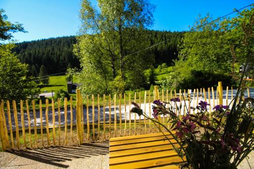 Black Forest Apartements by Hotel Grüner Baum Feldberg