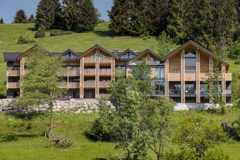 Appartements Black Forest Lodge Am Sommerberg 28 79868 Feldberg