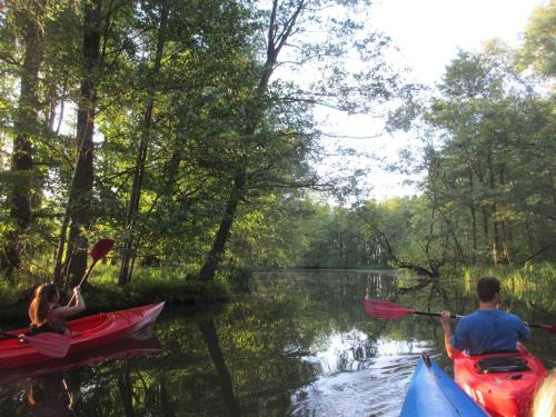 BluGarden Ferienapartments im Spreewald