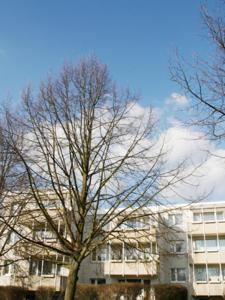 Boarding House \