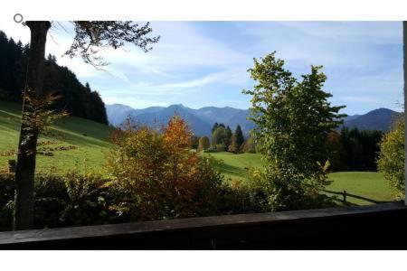 Bucherhof