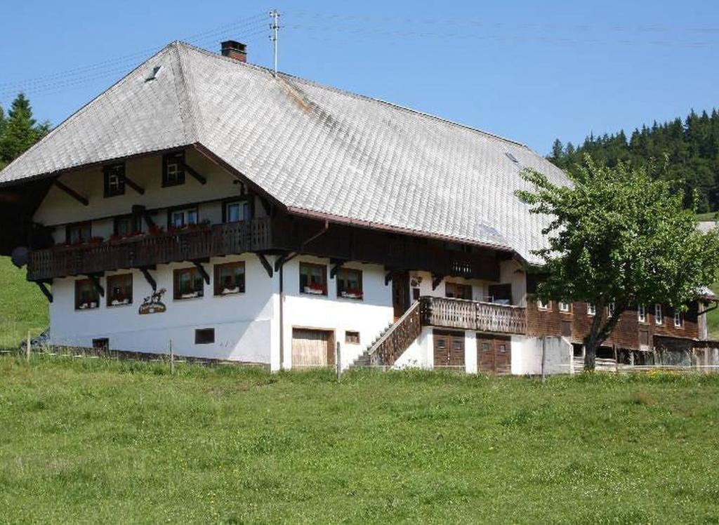 Appartements Bürschtehanse-Hof Hofrain 10 79837 Ibach