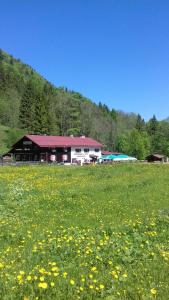 Appartements Cafe Christlessee Christlessee 1 87561 Oberstdorf Bavière