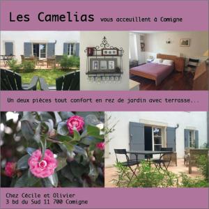 Camelias Feïjoas Marguerites Apartments