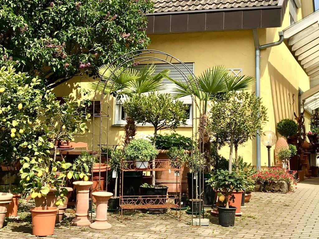 Casa Limone Lärchenstraße 15, 72119 Ammerbuch