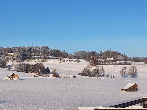 Chalet Buron