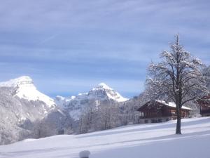 Chalet des Cascades