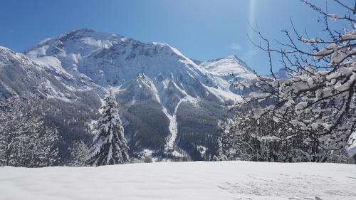 Chalet la Forestière