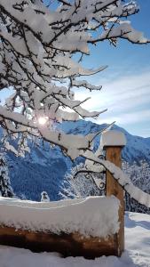Chalet la Forestière