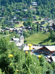 Chalet Leslie