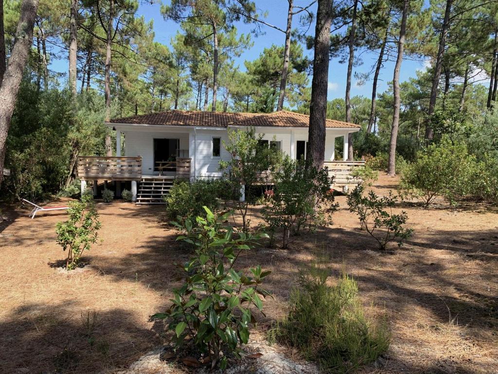 Appartements Chalet Mavalear naturiste La Jenny Village Résidentiel Naturiste Chalet 62.10 Route de la Jenny 33680 Le Porge