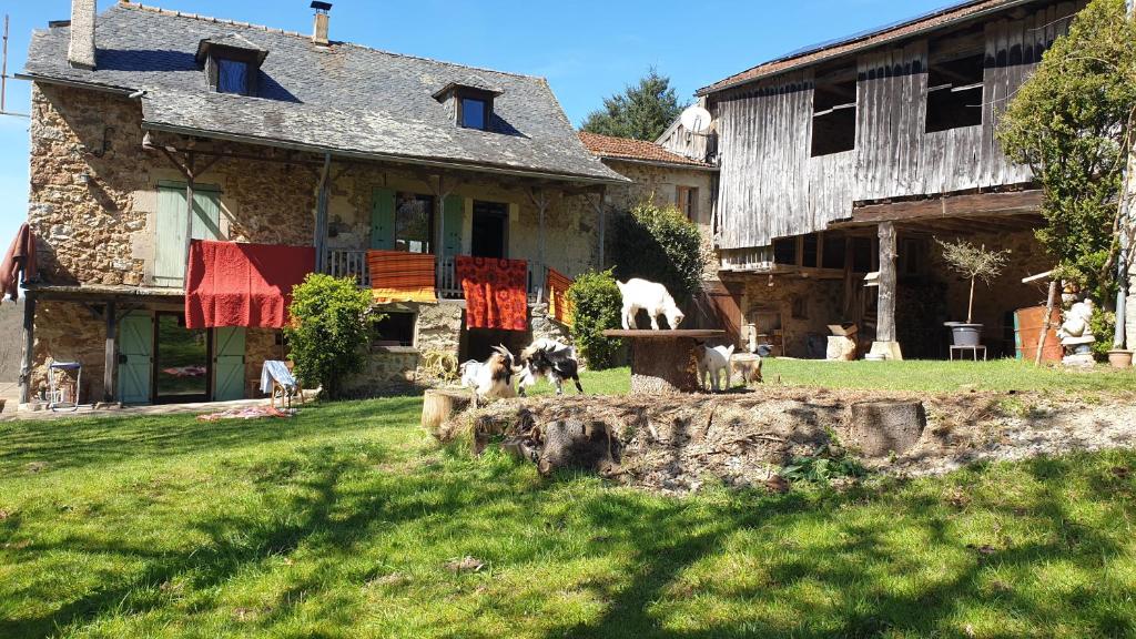 Appartements Chez Patoue Gîte La Bouysselie 12200 Sanvensa