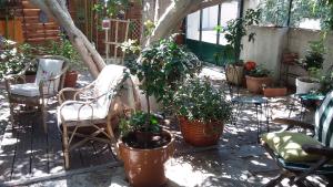 Cielito Lindo