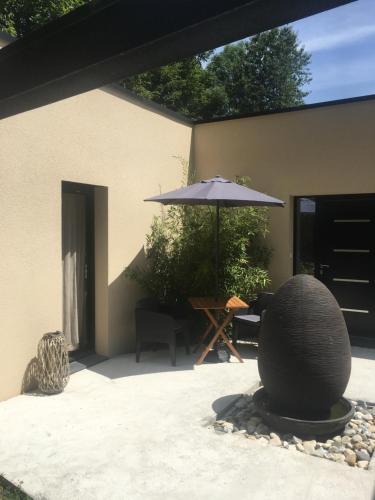Cocoon studio