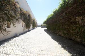 Convento das Bernardas by MY CHOICE