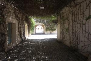 Convento das Bernardas by MY CHOICE