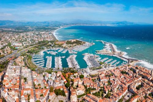 Cosy Migrainier - Vieil Antibes