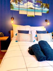 Cosy Migrainier - Vieil Antibes