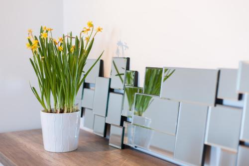 d'Castro Luxury Apartments - Alfama