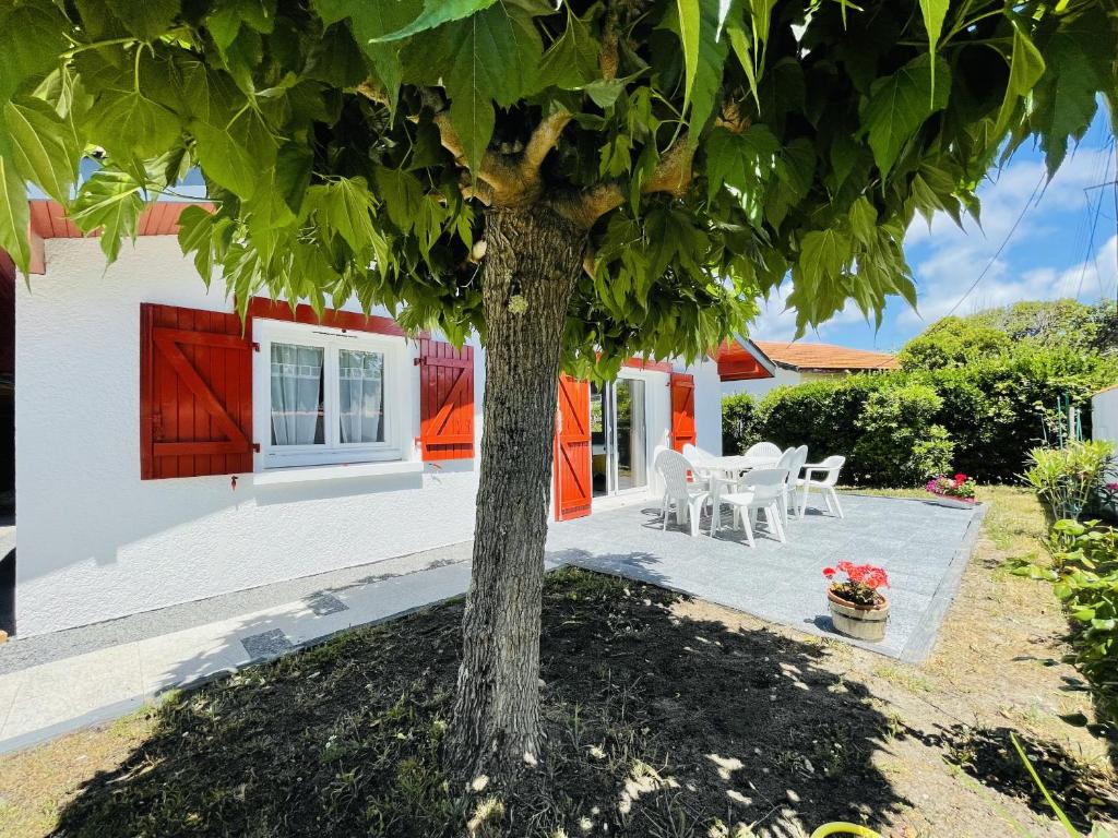 David Top des T3 Havre de Paix & Loft Style Darell T2 Jardin en Cœur De Ville - Parking