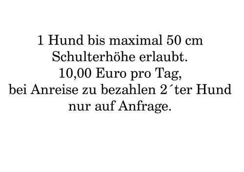 Deichblick