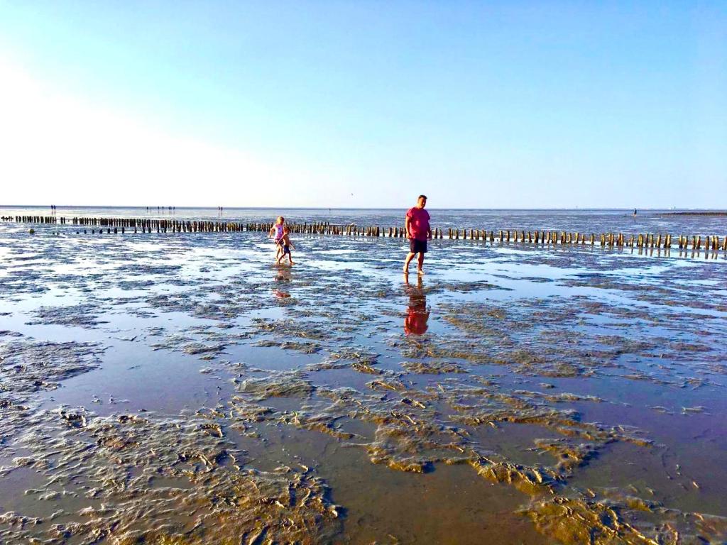 Deichoase Strandhaus Koogstraße 128, 25718 Friedrichskoog-Spitz