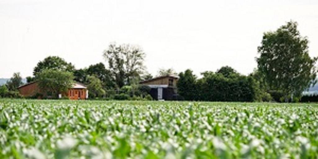 Demeterhof Dünninger 1 Im Steig, 97461 Hofheim in Unterfranken