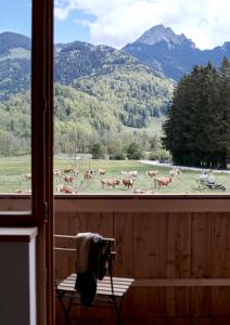 Appartements Der Schmiedhof 10 Geitau 83735 Bayrischzell Bavière