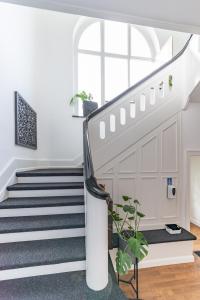 Design-Loft und Apartment im Villenviertel