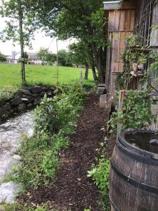 Appartements Die Dirndlkönigin Oberdorf 2 88167 Grünenbach Bavière