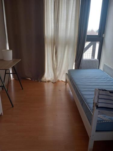 DisneyLand Hostel