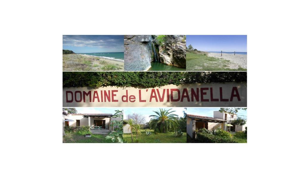 Domaine de l'Avidanella Sainte Lucie de Moriani, 20230 Santa-Lucia-di-Moriani