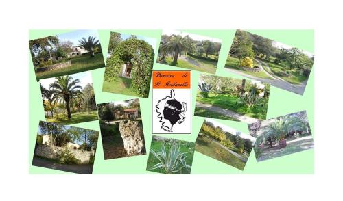 Domaine de l'Avidanella