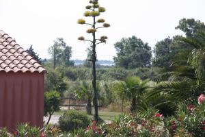 Domaine la Colomine