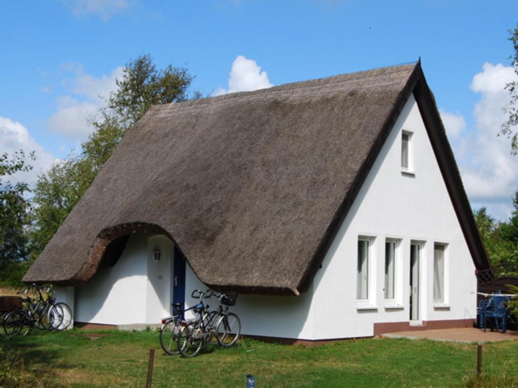 Appartements Doppelhaushälfte in Vitte auf Hiddensee Vitte 18565 Vitte