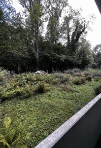 Doppelzimmer Naturblick im Herzen von Bad Harzburg