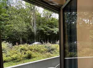 Doppelzimmer Naturblick im Herzen von Bad Harzburg