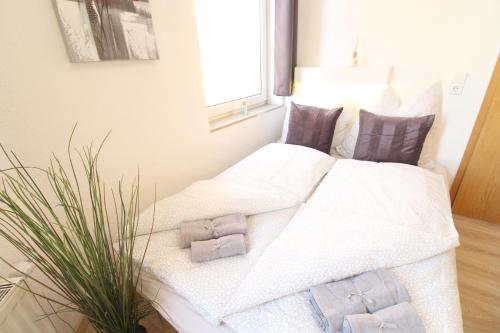 Downtown Apartments Ulm - im Herzen von Ulm & komfortable Boxspringbetten
