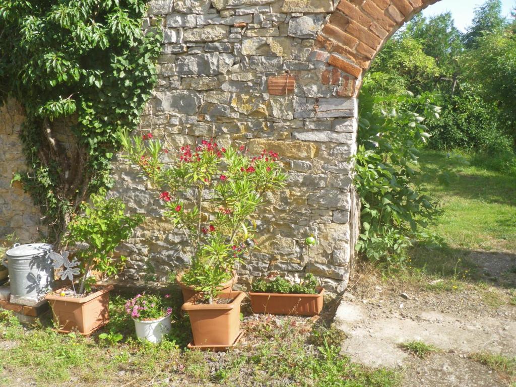 Appartements Drahtesel Oase 31 Dorfstraße 39249 Pömmelte