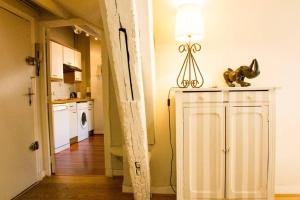 Duplex 4/5 personnes centre historique Blois