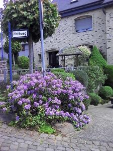 Appartements Eifelferienwohnungen \ Dorfstr. 9 56769 Bereborn Rhénanie-Palatinat