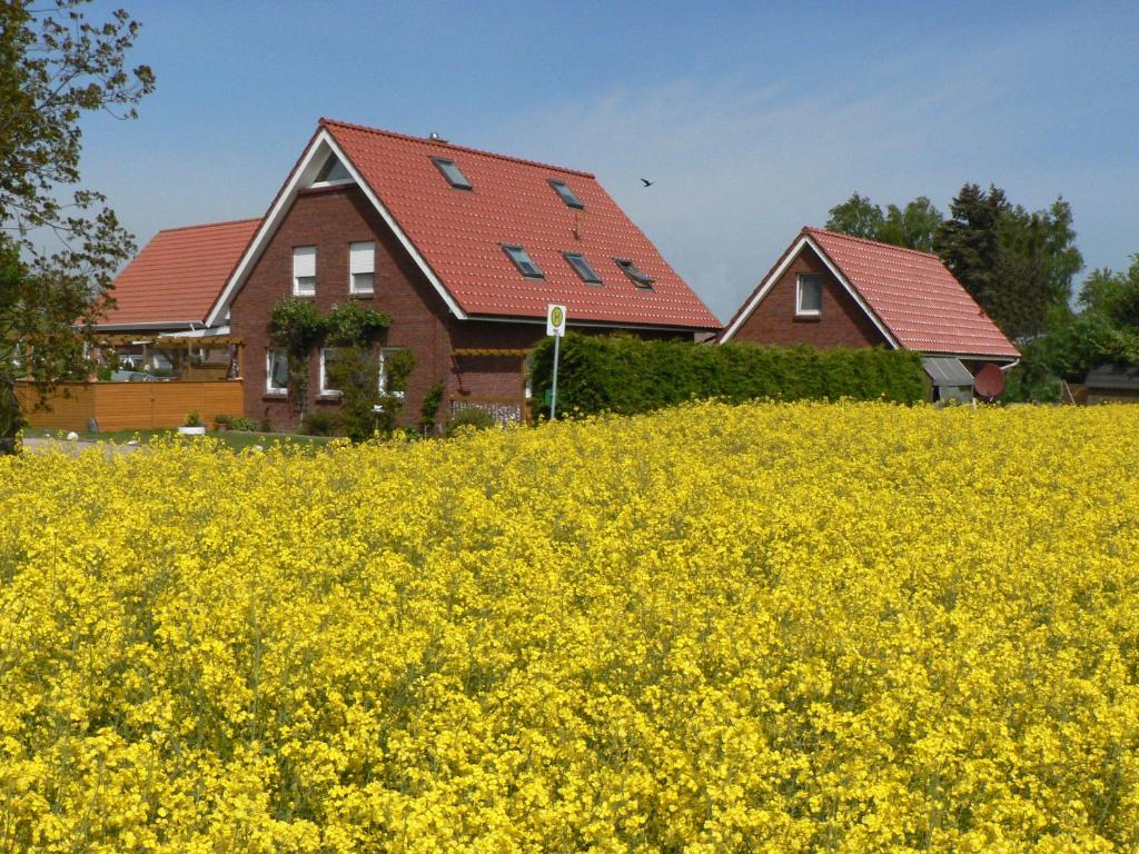 Ein Haus am Kornfeld 23769 Fehmarn