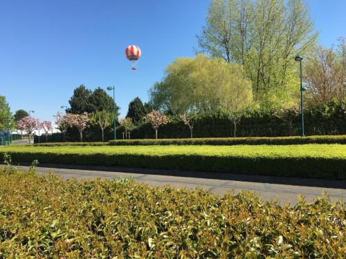 F&B's Home Disney