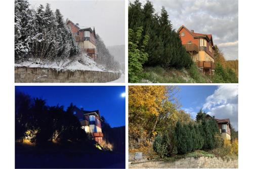 FaFeWo Ferienwohnungen mit Sternekomfort in Tanne Harz