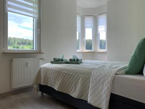 FaFeWo Ferienwohnungen mit Sternekomfort in Tanne Harz