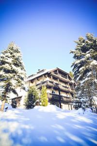 Appartements Falkenhof classic Hafenbrädlallee 2 94252 Bayerisch Eisenstein Bavière