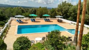 Feliz Apartments