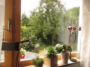 Ferien bei Naus - Ferienwohnung